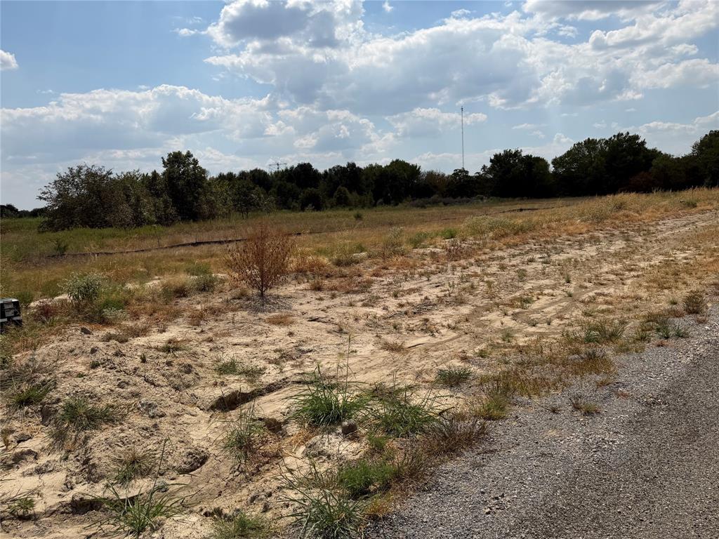 Lot 2 Co Road Farmersville, TX 75442 - Photo 2 of 12 Expansive land parcel featuring natural ground cover, a gravel road, and distant mature trees