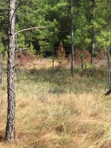 0 Clear Creek Road Pollock, LA 71467 - Photo 12 of 24 Gallery Image 12