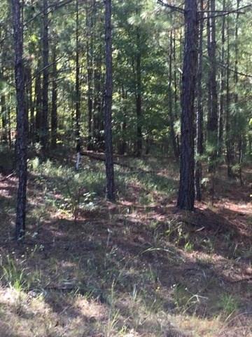 0 Clear Creek Road Pollock, LA 71467 - Photo 15 of 24 Gallery Image 15