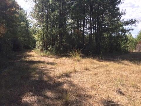 0 Clear Creek Road Pollock, LA 71467 - Photo 17 of 24 Gallery Image 17