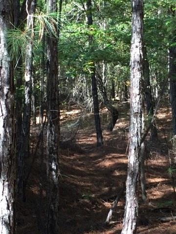 0 Clear Creek Road Pollock, LA 71467 - Photo 20 of 24 Gallery Image 20