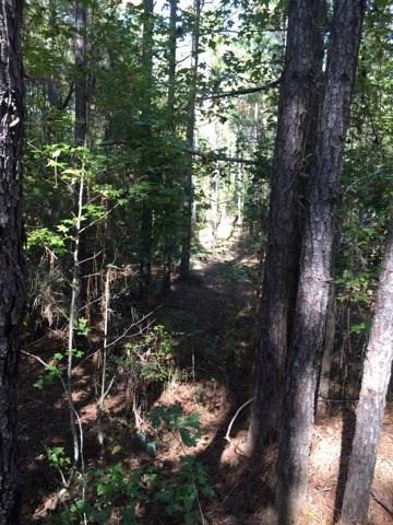 0 Clear Creek Road Pollock, LA 71467 - Photo 21 of 24 Gallery Image 21