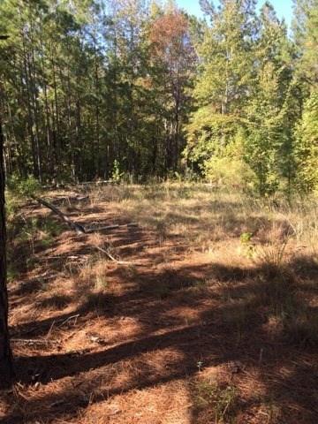 0 Clear Creek Road Pollock, LA 71467 - Photo 23 of 24 Gallery Image 23