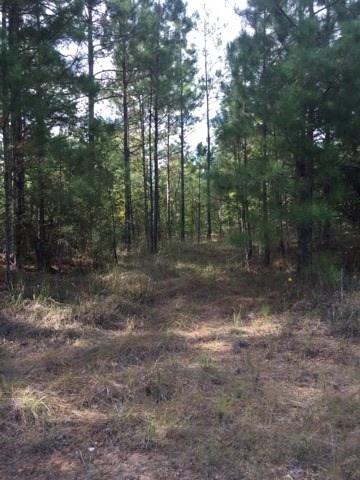 0 Clear Creek Road Pollock, LA 71467 - Photo 24 of 24 Gallery Image 24
