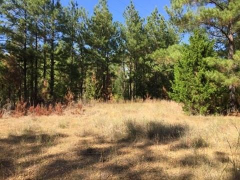 0 Clear Creek Road Pollock, LA 71467 - Photo 10 of 24 Gallery Image 10