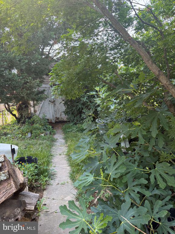 5444 8th Road South Arlington, VA 22204 - Photo 2 of 2 Gallery Image 2