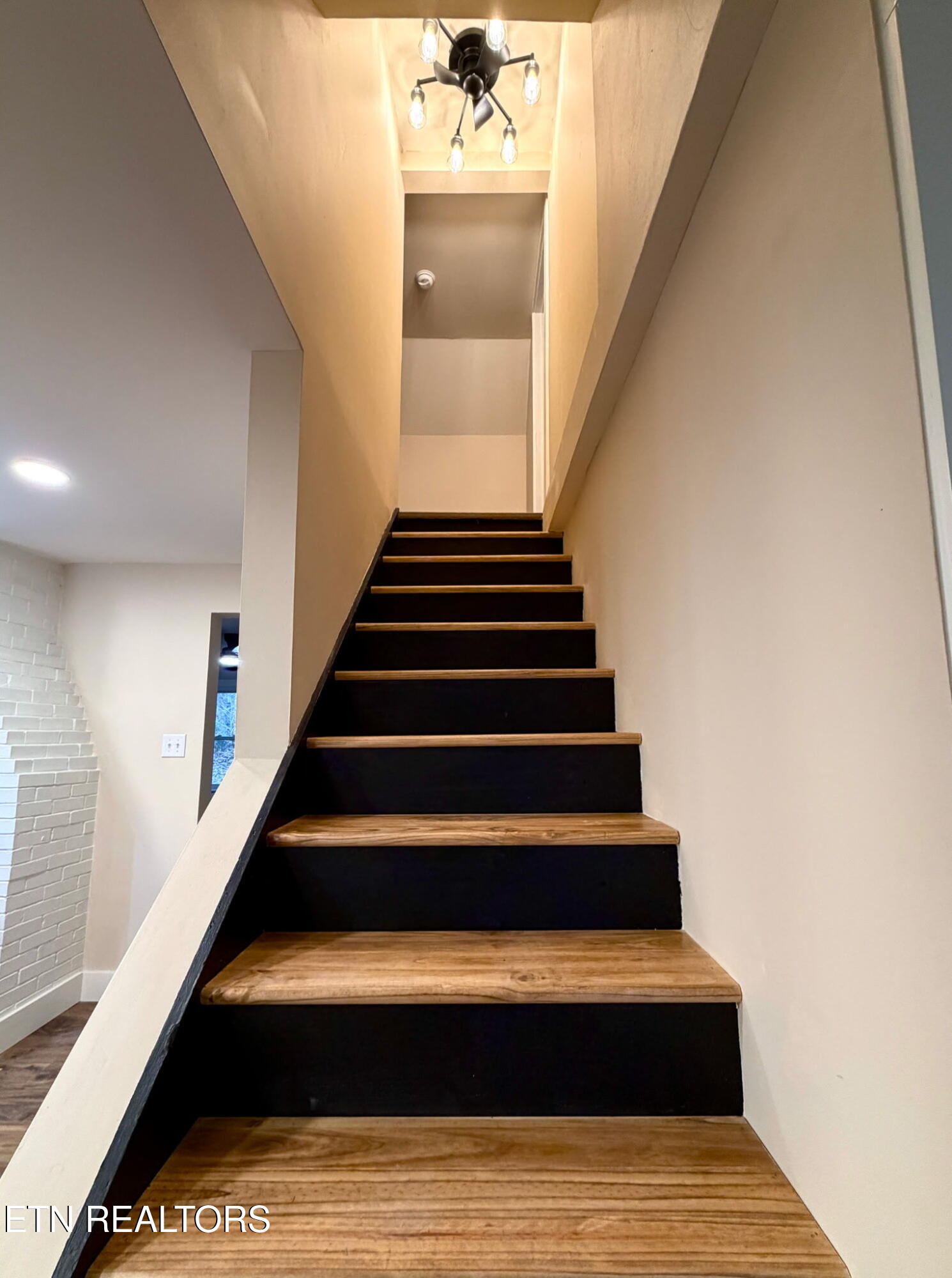 208 Mountain Road Luttrell, TN 37779 - Photo 18 of 21 IMG_20260219_081153 (9)