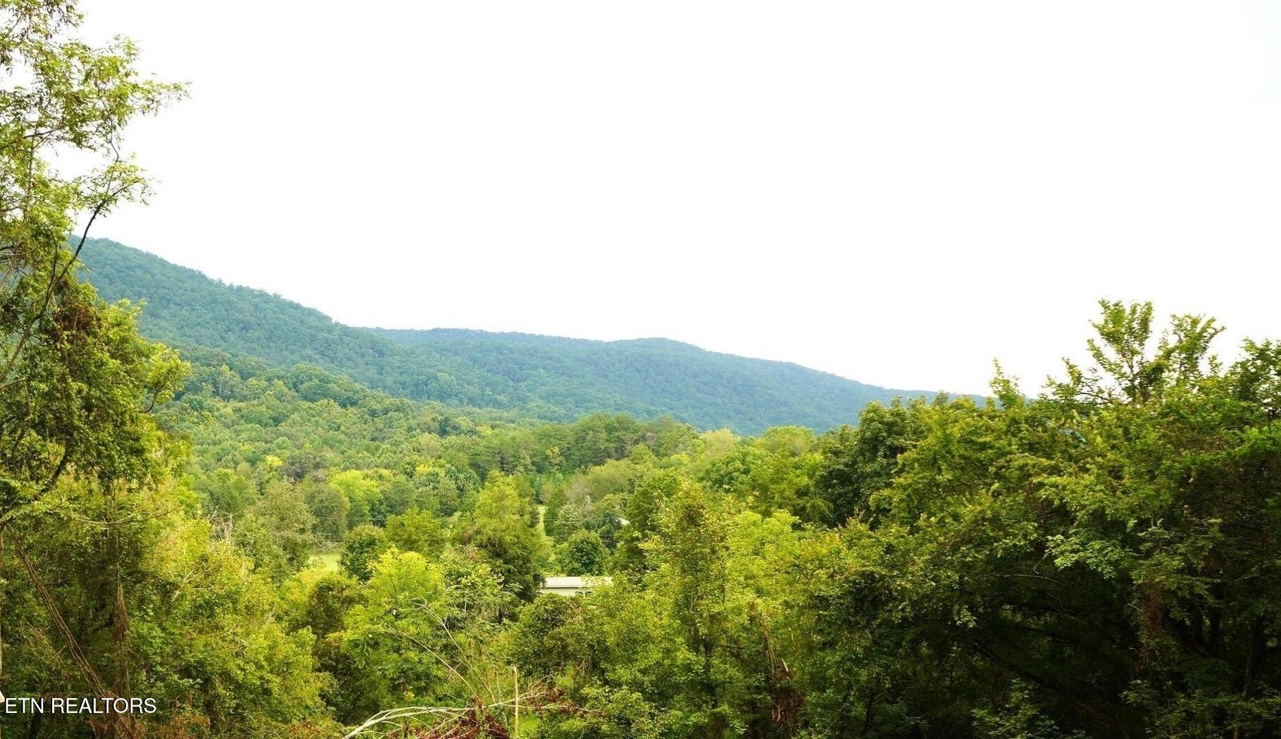 208 Mountain Road Luttrell, TN 37779 - Photo 5 of 21 20250905163144004510000000-o