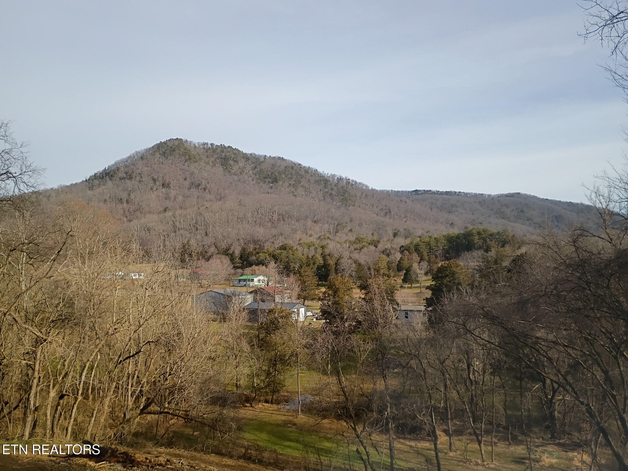 208 Mountain Road Luttrell, TN 37779 - Photo 8 of 21 IMG_20260215_110236