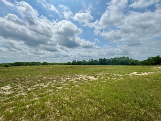 $1,290,000 | 571 Farm To Market Road 799, George West, TX 78022