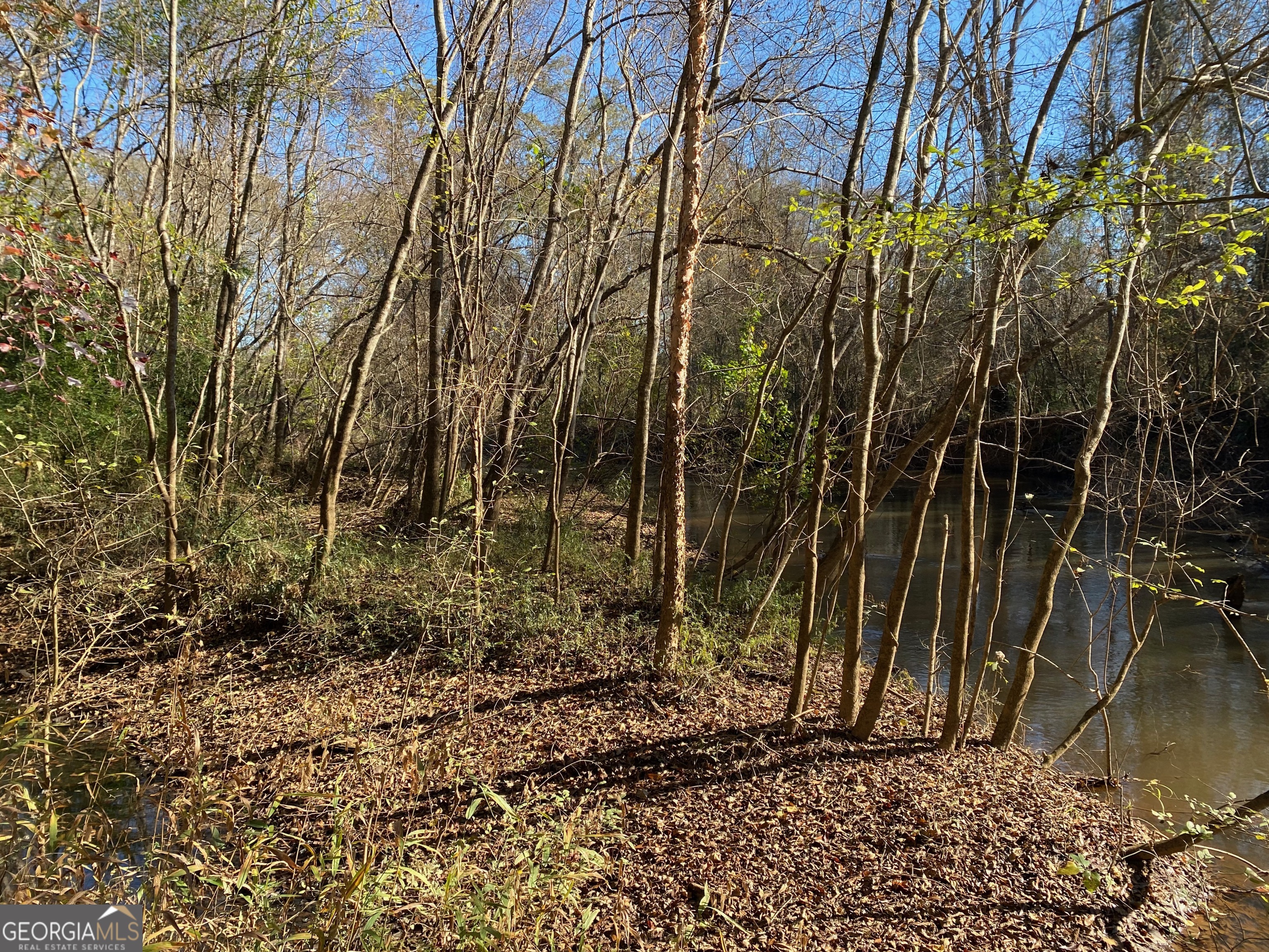 7530 Houston Road Byron, GA 31008 - Photo 13 of 21 a backyard of a house with lots of green space