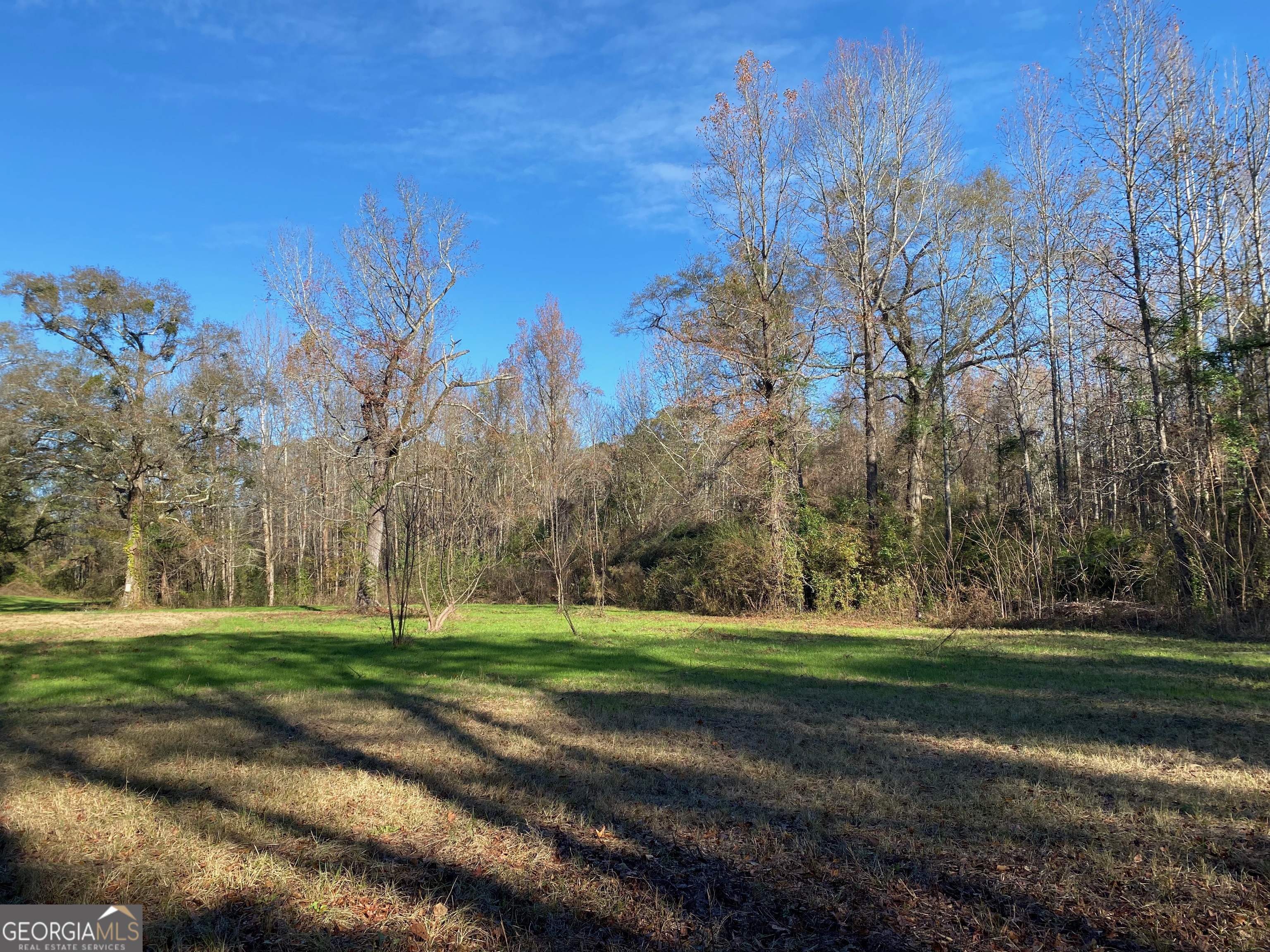 7530 Houston Road Byron, GA 31008 - Photo 3 of 21 a view of a golf course