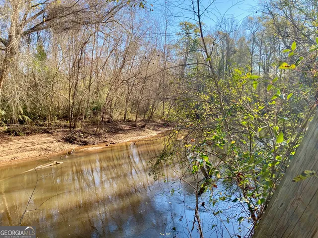 a view of tree next to a road