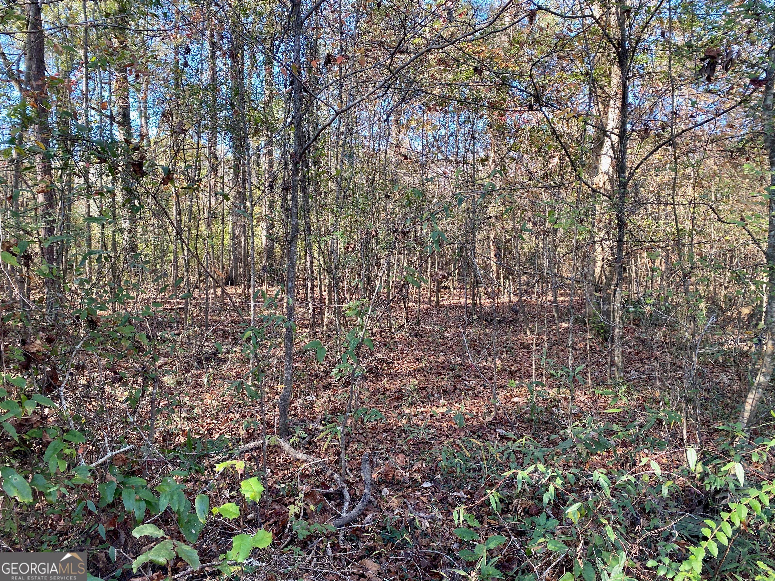7530 Houston Road Byron, GA 31008 - Photo 8 of 21 a view of yard