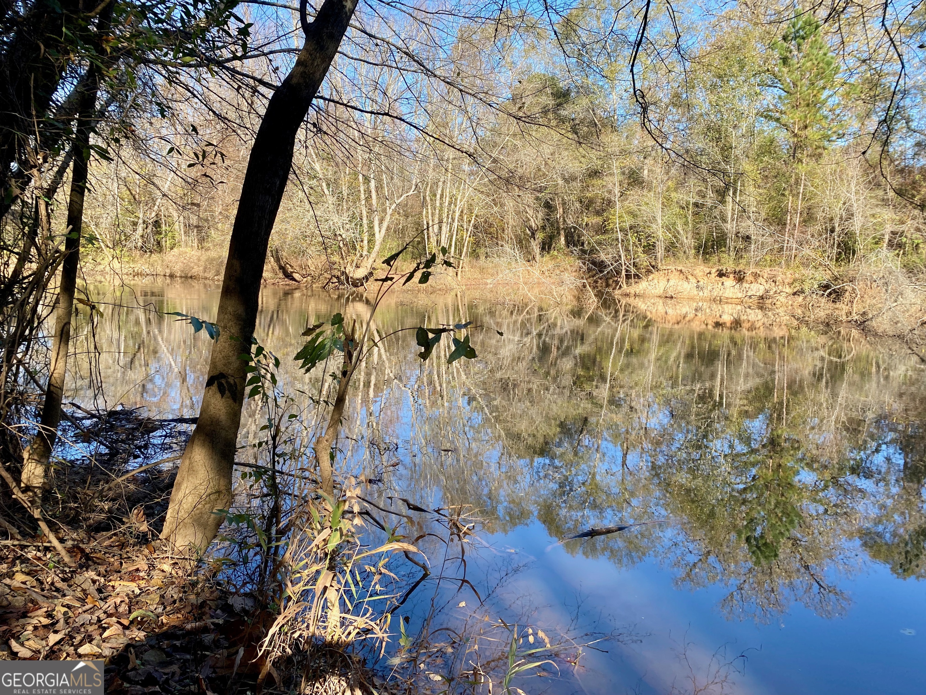 7530 Houston Road Byron, GA 31008 - Photo 9 of 21 a backyard of a building