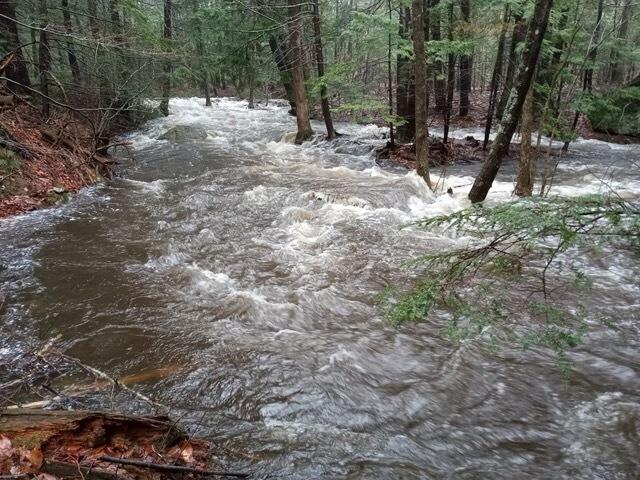 65 Deer Run Drive Cumberland Center, ME 04021 - Photo 51 of 55 IMG_8135