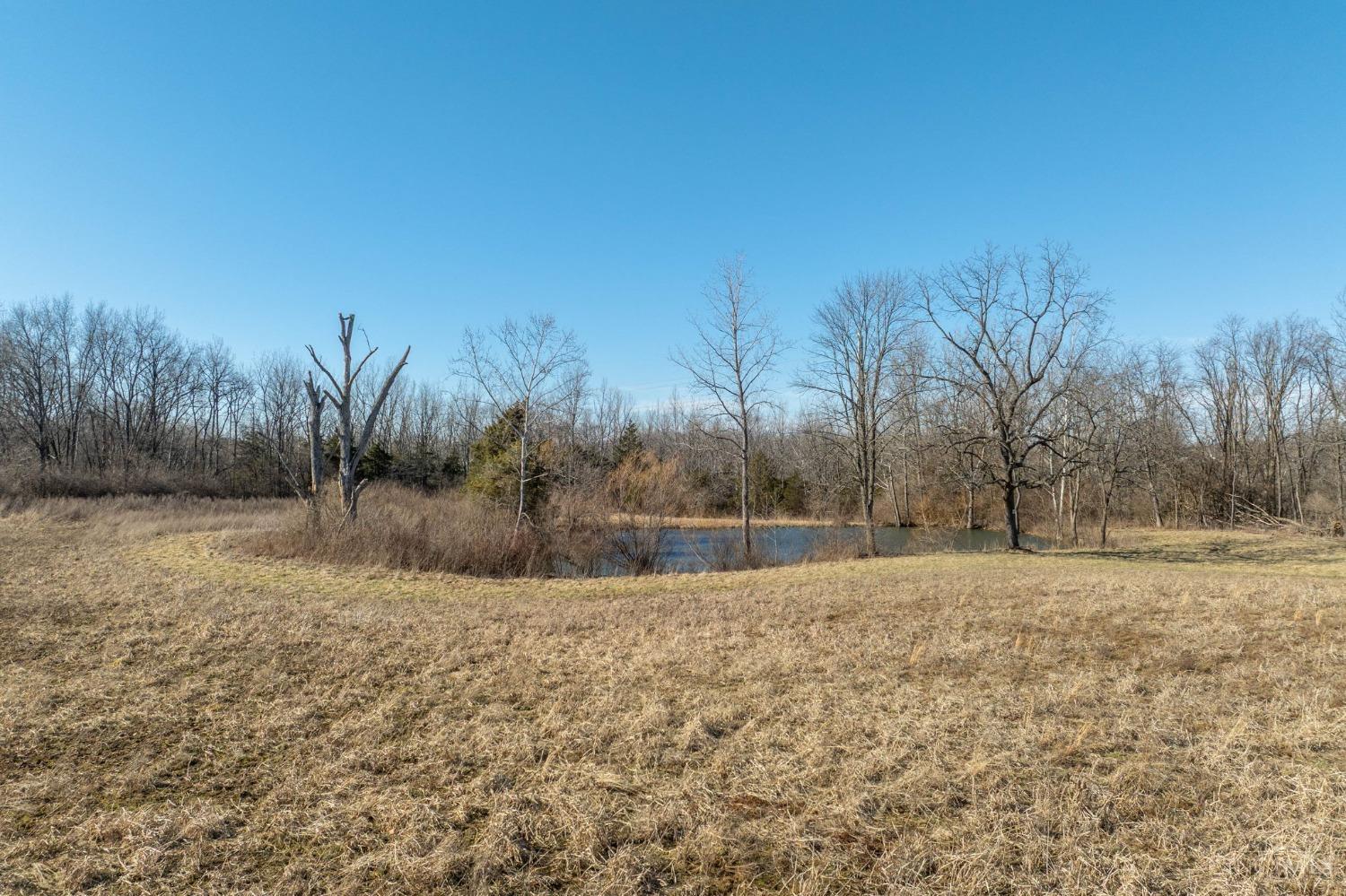 8651 Schlottman Road, Unit LOT A Maineville, OH 45039 - Photo 3 of 15