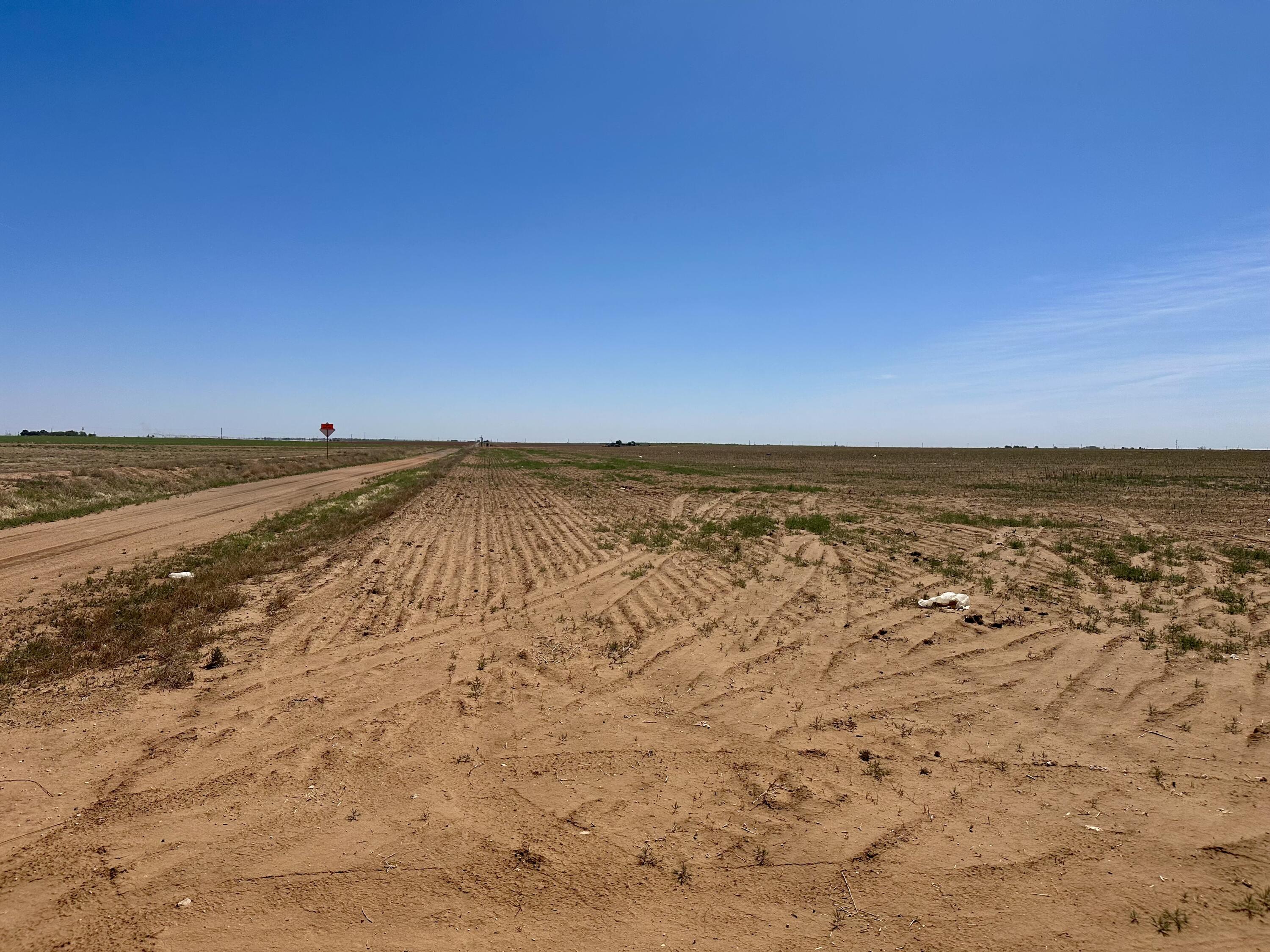 Rabbit Ropesville, TX 79358 - Photo 2 of 6 IMG_8900
