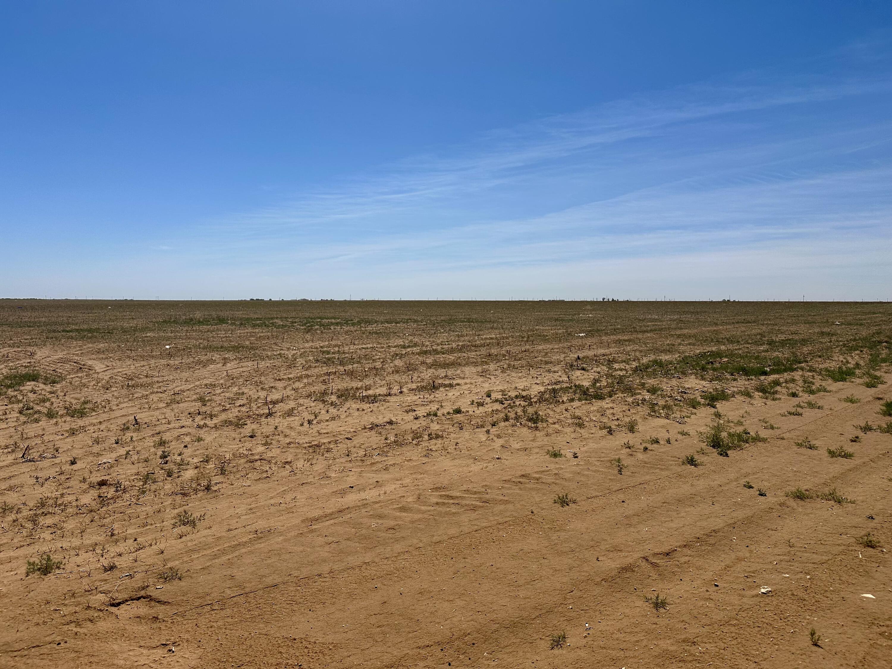 Rabbit Ropesville, TX 79358 - Photo 3 of 6 IMG_8901