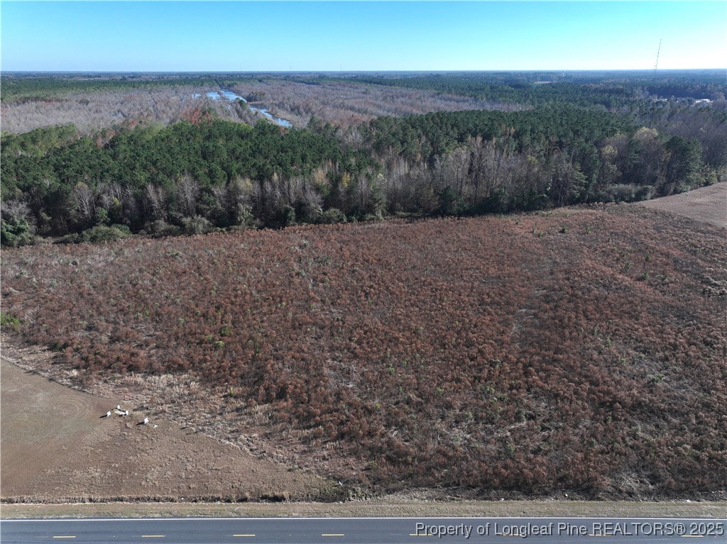 Wire Grass Road Orrum, NC 28369 - Photo 4 of 10 a view of a dry yard