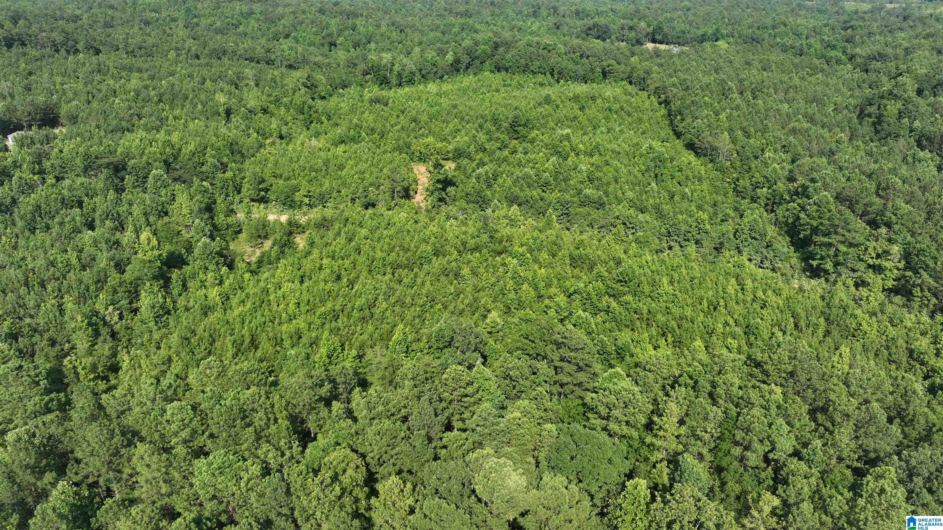 2 County Road 253, Unit 2 Clanton, AL 35046 - Photo 26 of 40