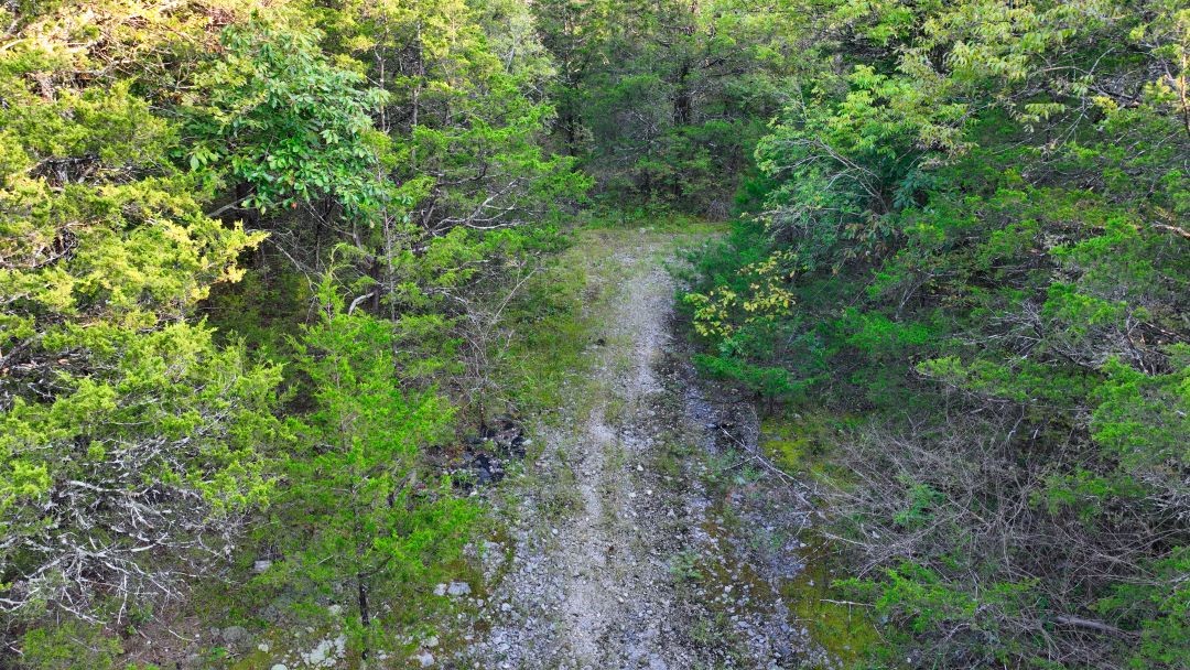 0 West Buckeye Bottom Road Murfreesboro, TN 37129 - Photo 11 of 15 Gallery Image 11