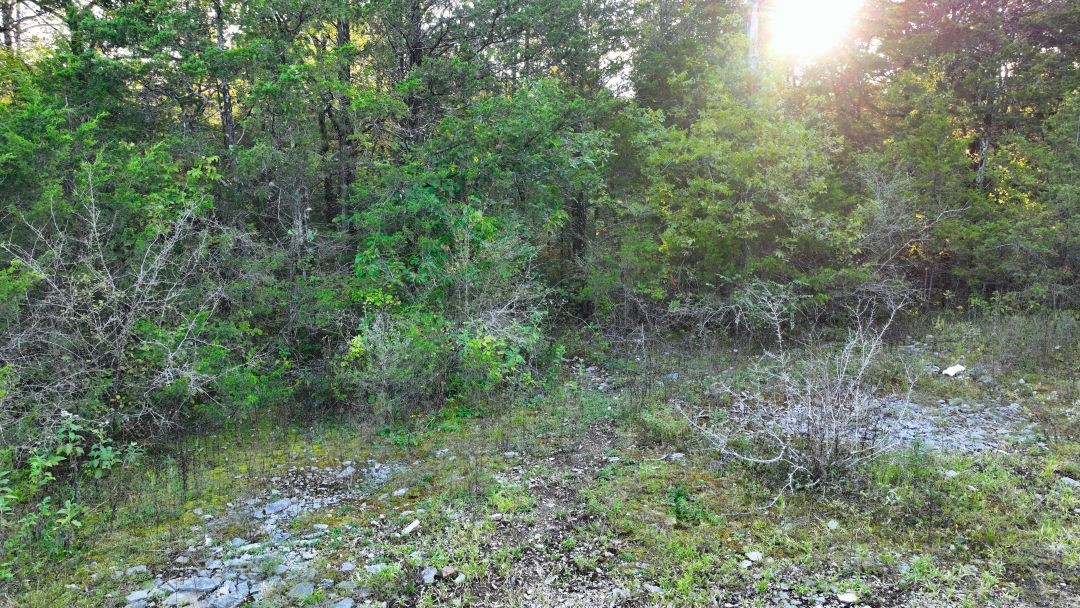 0 West Buckeye Bottom Road Murfreesboro, TN 37129 - Photo 14 of 15 Gallery Image 14