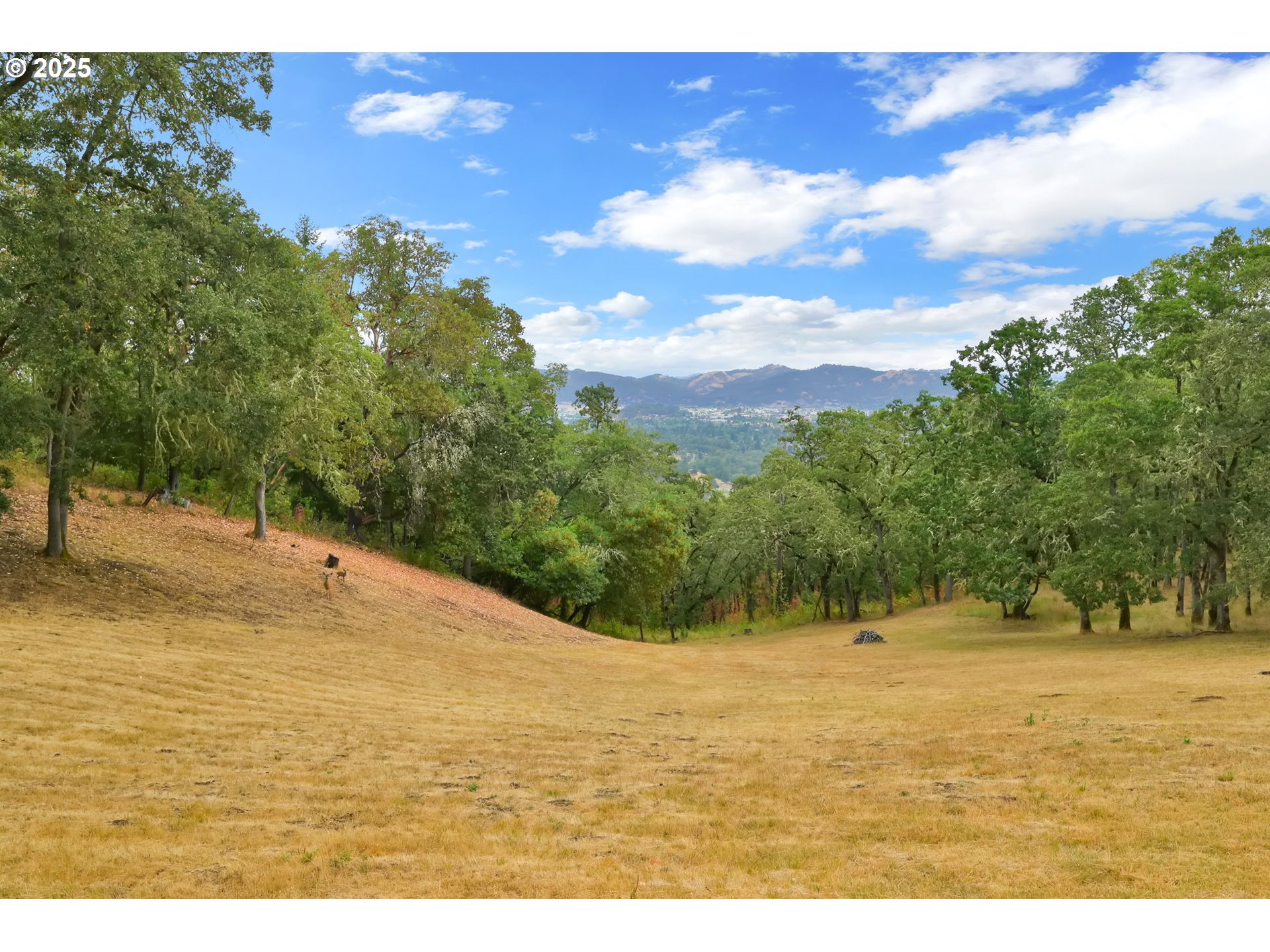 190 Paradise Point Lane Roseburg, OR 97471 - Photo 34 of 40