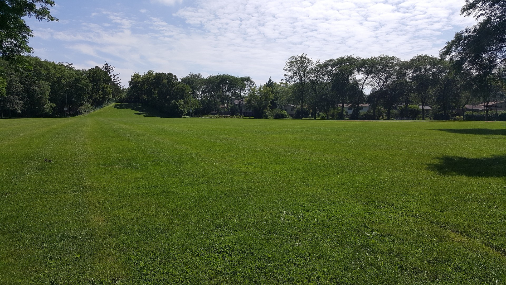 1771 Central Road Glenview, IL 60025 - Photo 36 of 37