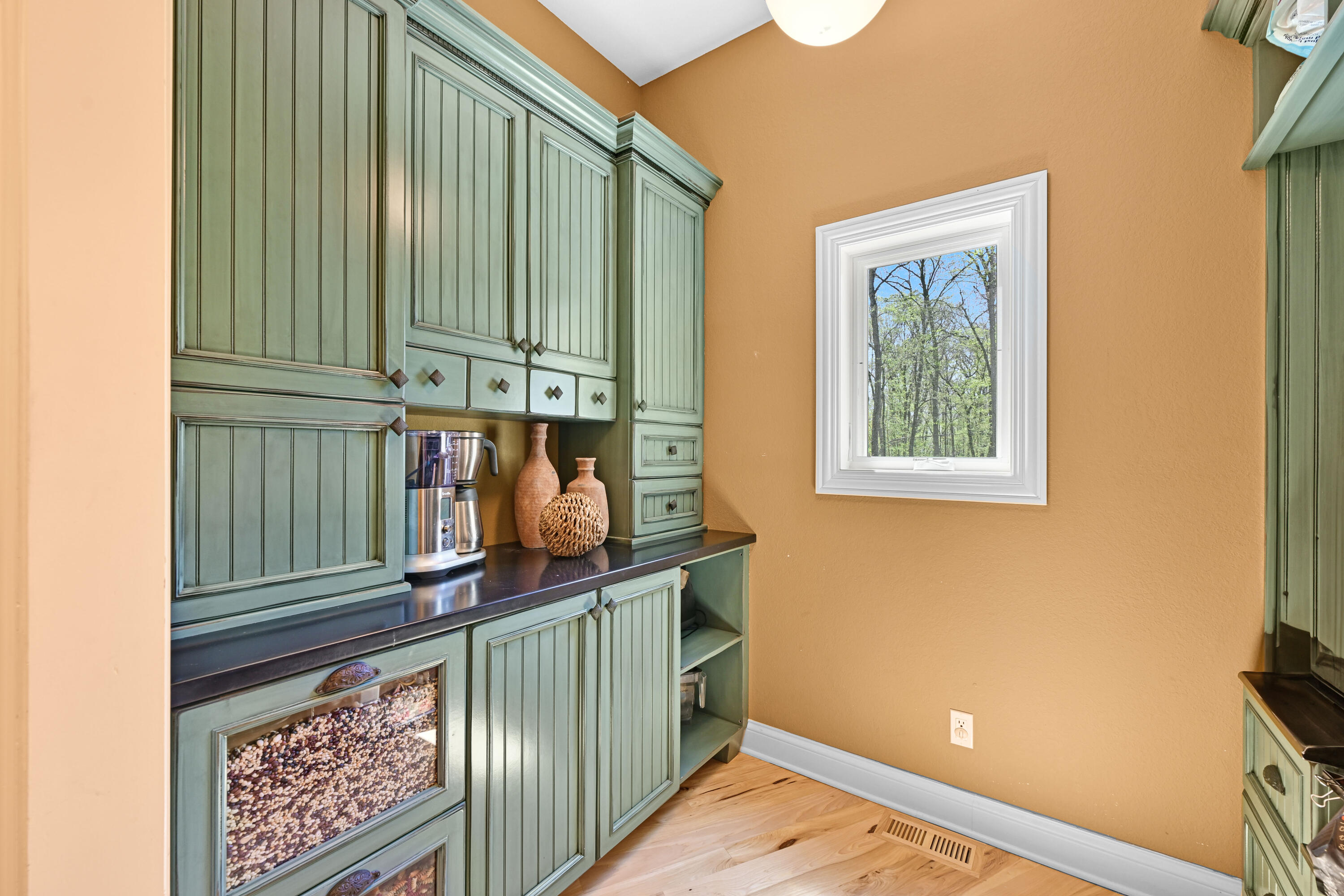N4161 Kenney Lane Delavan, WI 53115 - Photo 34 of 62 Custom Built Ins