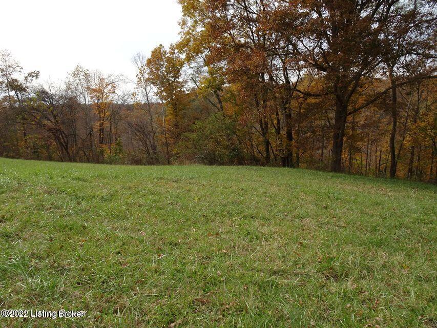 1 A Applegate Run Shepherdsville, KY 40165 - Photo 2 of 3 Tract 1-A