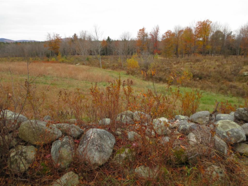 220 Stoneham Road Brookfield, NH 03872 - Photo 13 of 18