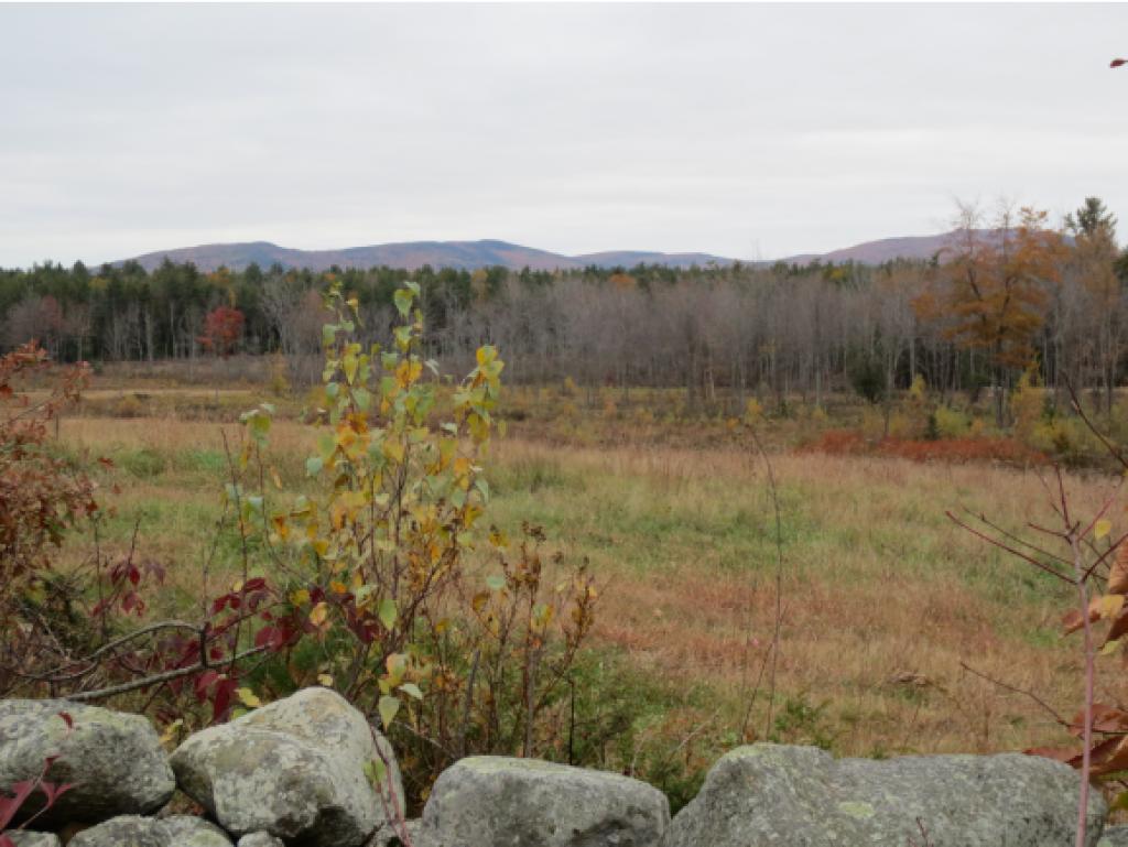 220 Stoneham Road Brookfield, NH 03872 - Photo 15 of 18