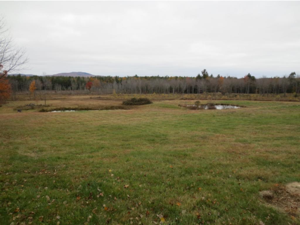 220 Stoneham Road Brookfield, NH 03872 - Photo 16 of 18