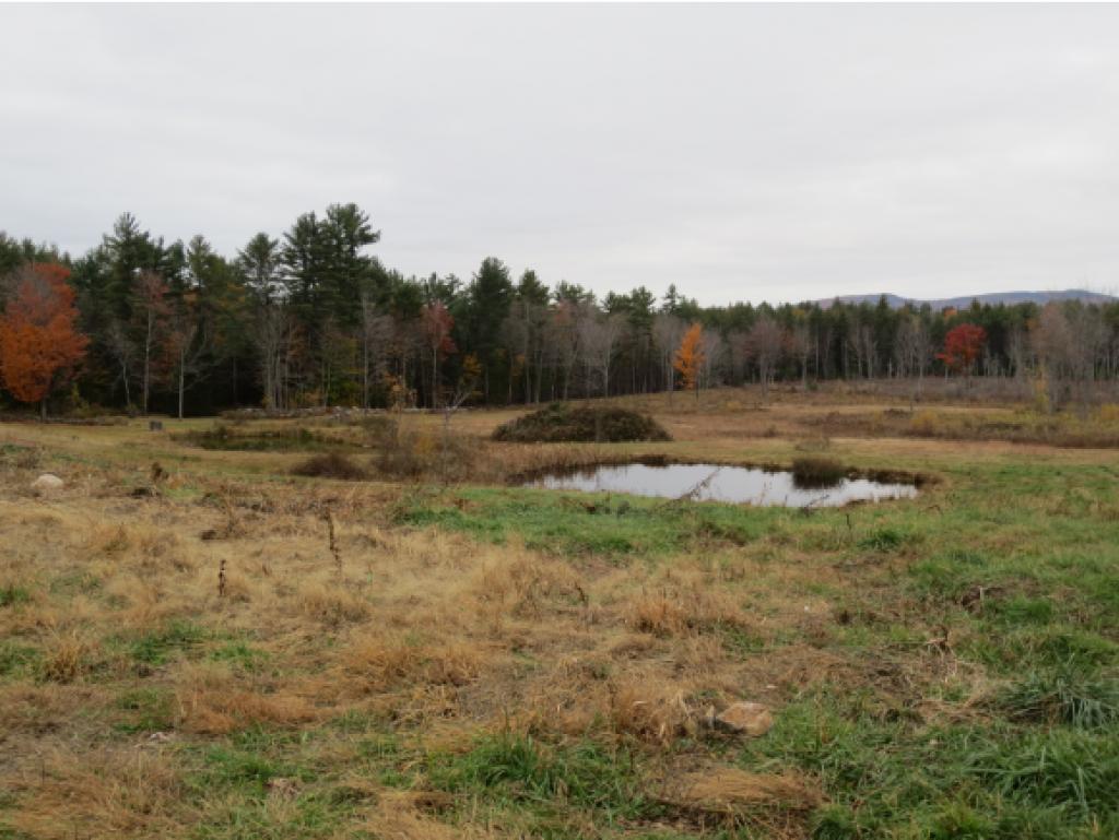 220 Stoneham Road Brookfield, NH 03872 - Photo 18 of 18