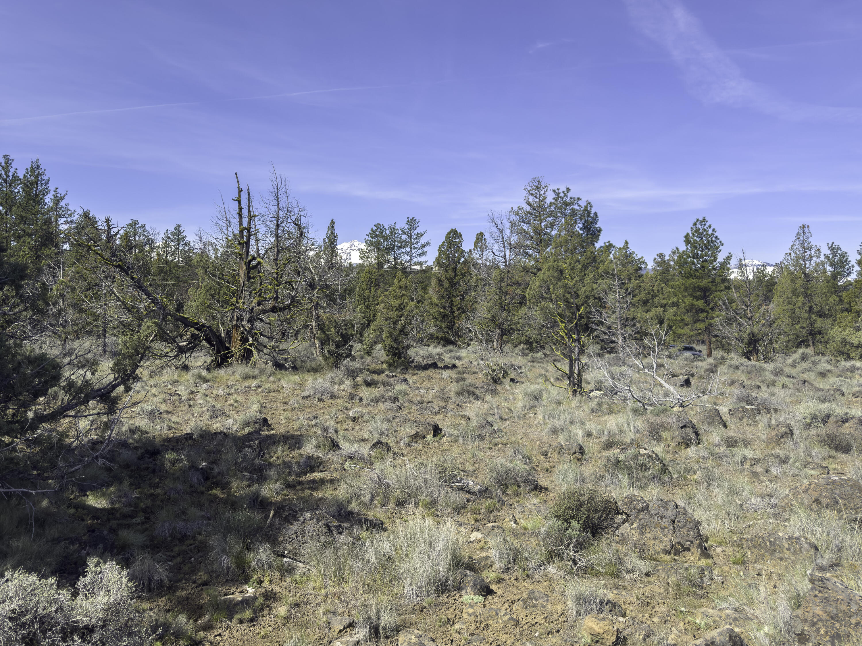 67372 Harrington Loop Road Bend, OR 97703 - Photo 14 of 33 Level Lot