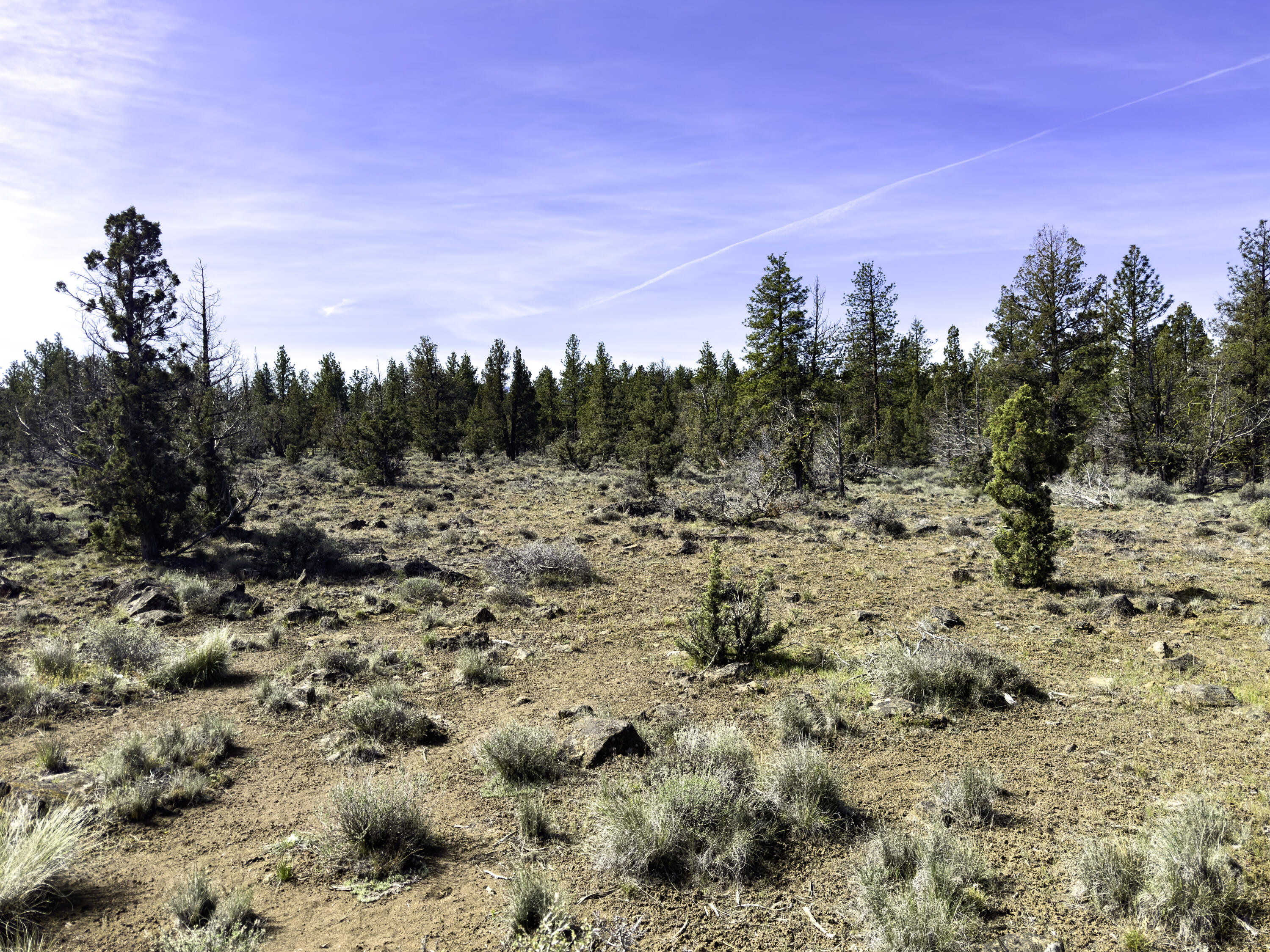 67372 Harrington Loop Road Bend, OR 97703 - Photo 21 of 33 Open Terrain