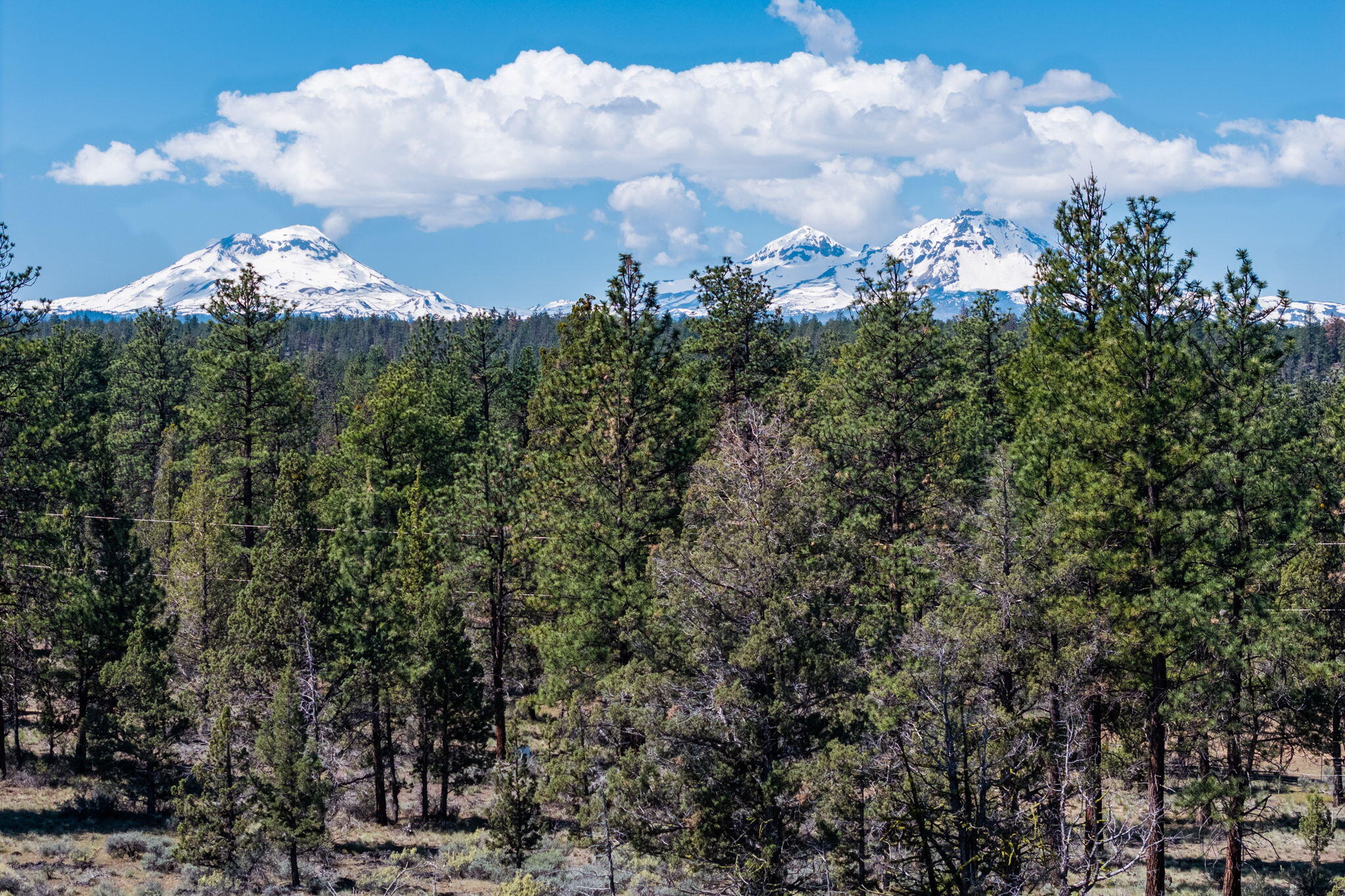 67372 Harrington Loop Road Bend, OR 97703 - Photo 30 of 33 Pine Forest to the Mountains.