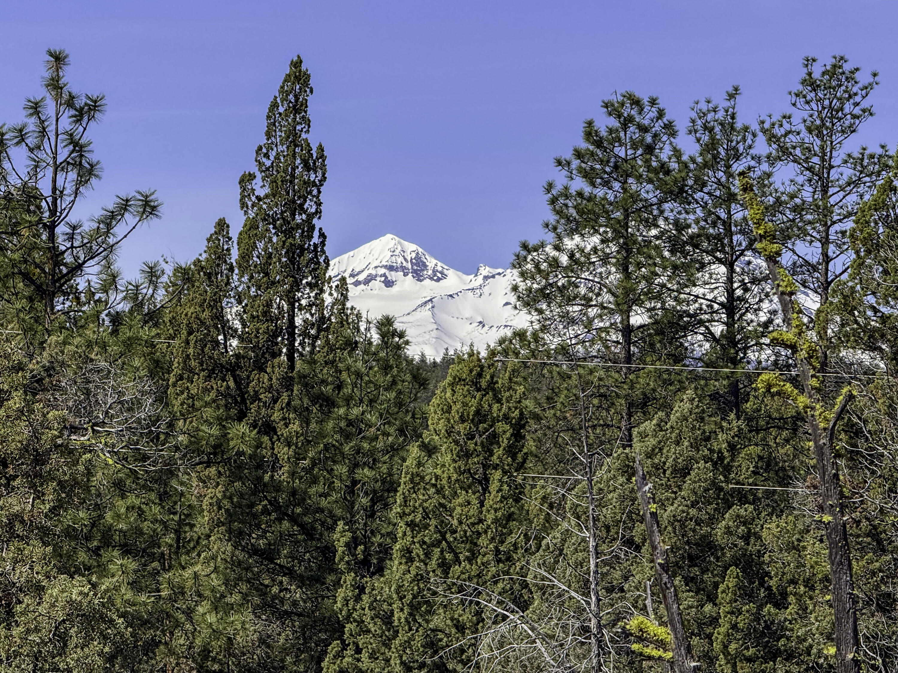 67372 Harrington Loop Road Bend, OR 97703 - Photo 6 of 33 Middle Sister peaking through the Trees