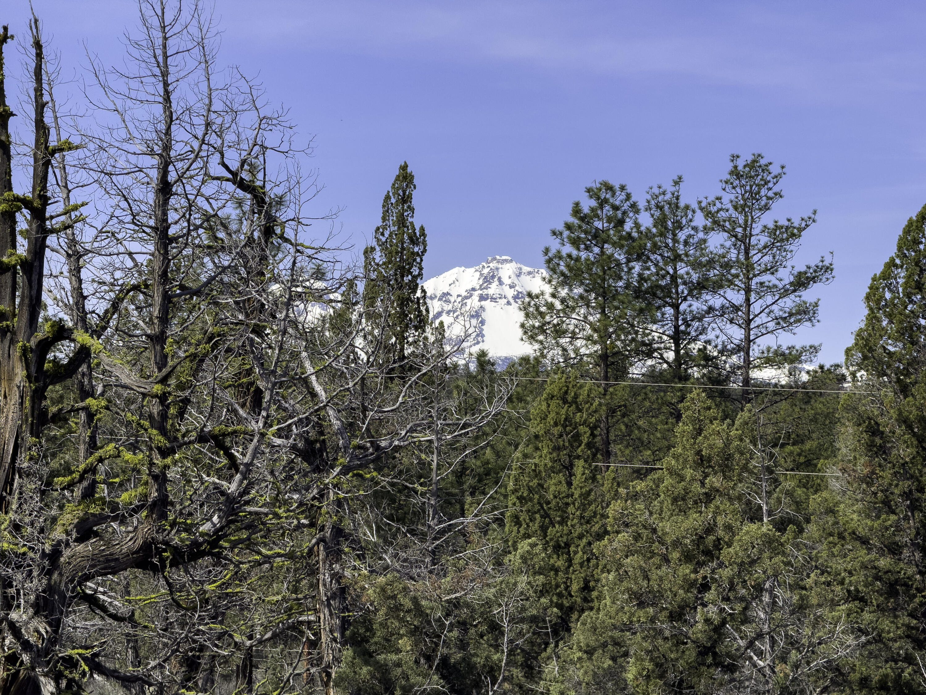 67372 Harrington Loop Road Bend, OR 97703 - Photo 8 of 33 North Sister