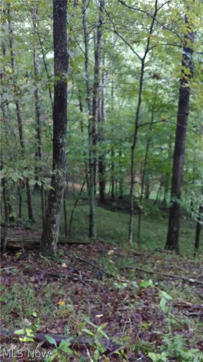 2 Gooseneck Run Road Walker, WV 26180 - Photo 18 of 22