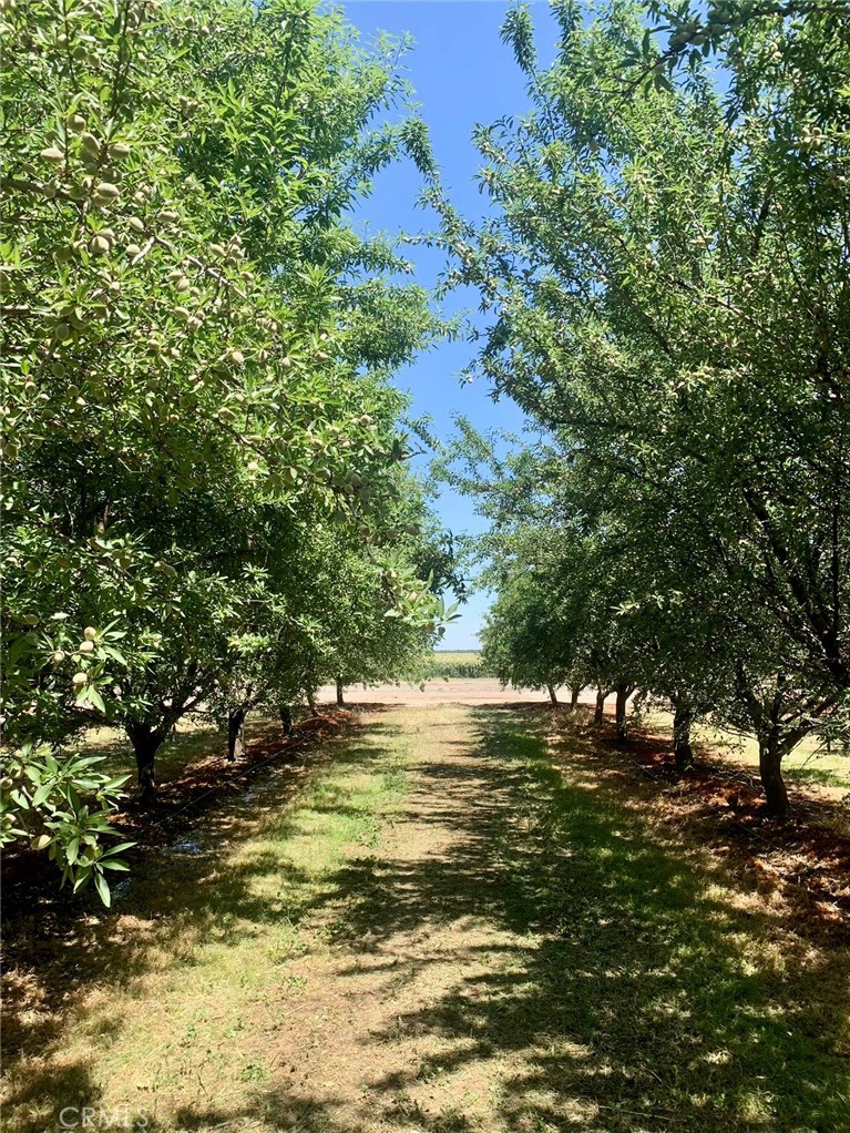 10351 Ave 112 Pixley, CA 93256 - Photo 2 of 14 a view of ocean view