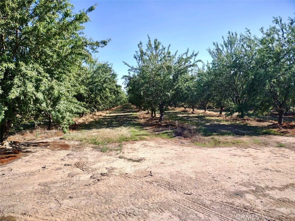 10351 Ave 112 Pixley, CA 93256 - Photo 5 of 14 a view of outdoor space with deck and yard