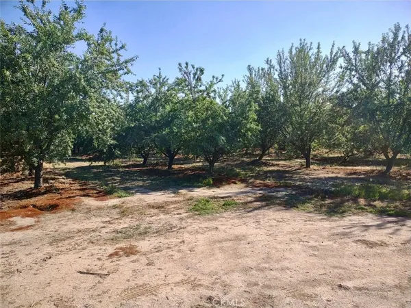 a view of dirt yard with a tree