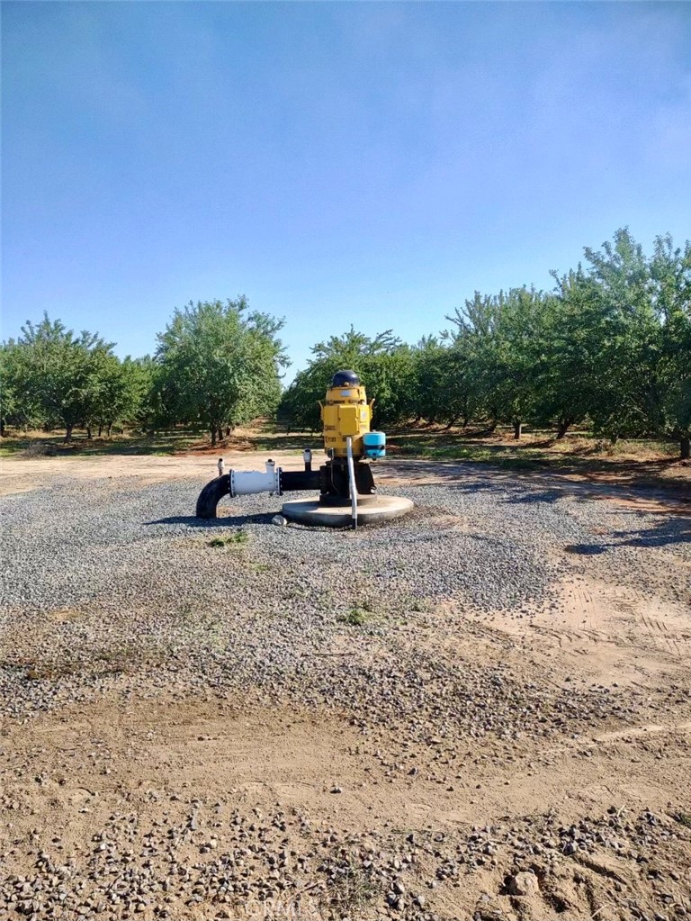 10351 Ave 112 Pixley, CA 93256 - Photo 7 of 14 a view of a park with large trees