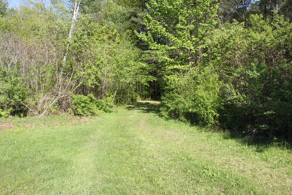 Lot 68 Baptist Corner Road Ashfield, MA 01330 - Photo 3 of 13