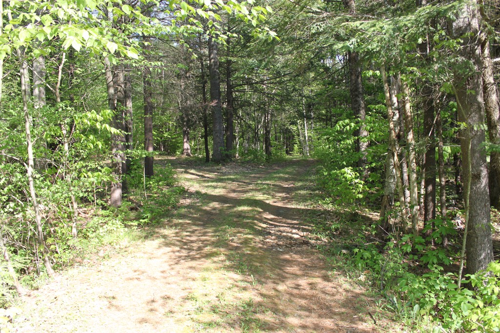 Lot 68 Baptist Corner Road Ashfield, MA 01330 - Photo 5 of 13