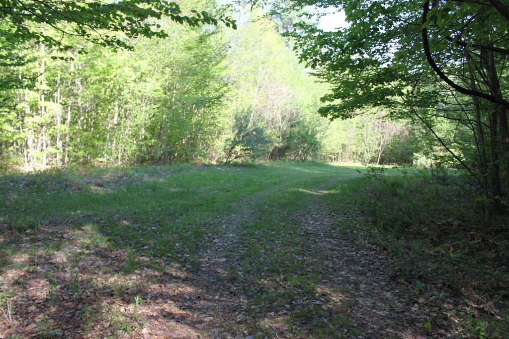Lot 68 Baptist Corner Road Ashfield, MA 01330 - Photo 7 of 13