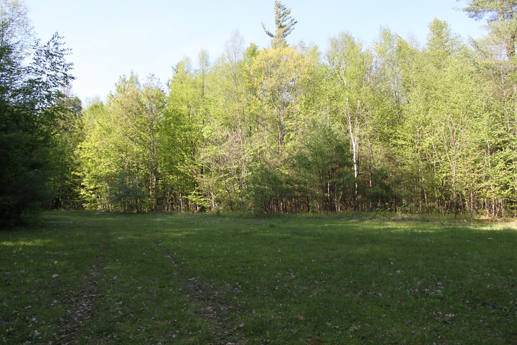 Lot 68 Baptist Corner Road Ashfield, MA 01330 - Photo 9 of 13