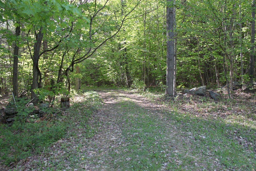 Lot 68 Baptist Corner Road Ashfield, MA 01330 - Photo 10 of 13